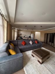 сдаю квартиру дордой: 3 комнаты, 95 м², Элитка, 10 этаж, Дизайнерский ремонт