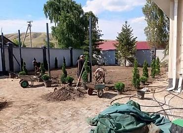 планировка земли: Ландшафтные работы «под ключ» - Планировка участка, подготовка почвы — 1