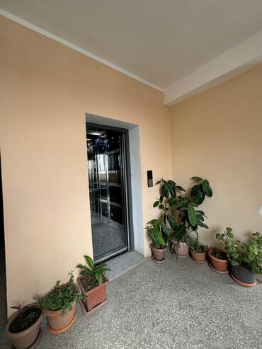 Yeni tikili: 3 otaqlı, Yeni tikili, 131 kv. m — 21