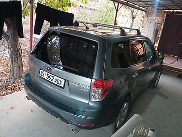 форстер машина: Subaru Forester: 2009 г., Автомат, Универсал — 2