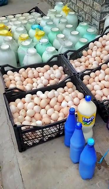 bezekli yumurtalar: Bərdə kənd qatığı – təbii süd mayası ilə hazırlanır, şüşə bankalarda — 5