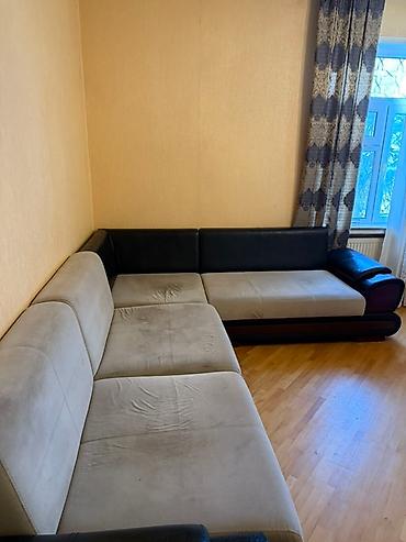 Divan yuma avadanlığının icarəsi Peşəkar ekstraktor tipli at lalafo.az — 2 Divan yuma avadanlığının icarəsi Peşəkar ekstraktor tipli — 2