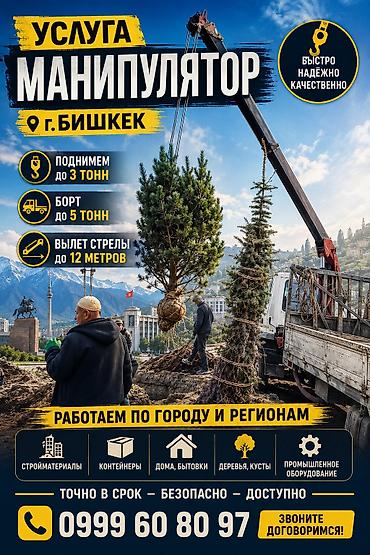 Жаанын 12 м, 3 т., Борттун 5 кг