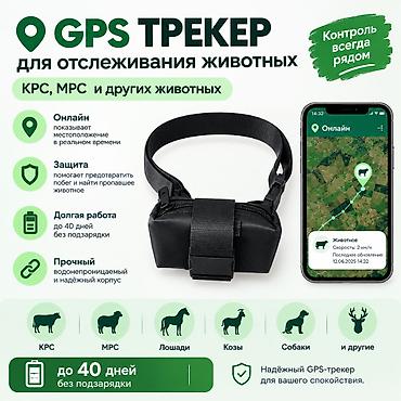 tracker gps: GPS-трекер для животных 🐄🐑 Отслеживайте местоположение КРС, МРС — 1