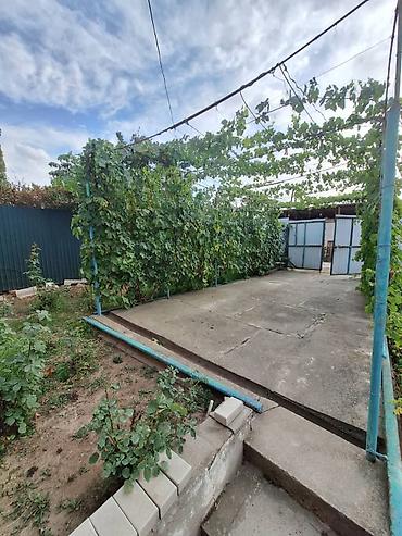 Продажа дач: Продаю дачу в живописном селе Таш-Мойнок Цена: 72 000 $ (только — 11