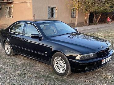 ноздри бмв е34: BMW 5 series: 2003 г., 2.5 л, Автомат, Бензин, Седан — 1