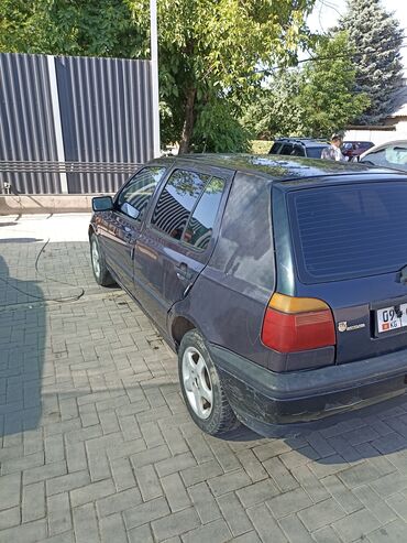голые: Volkswagen Golf: 1994 г., 1.6 л, Механика, Бензин, Хэтчбэк