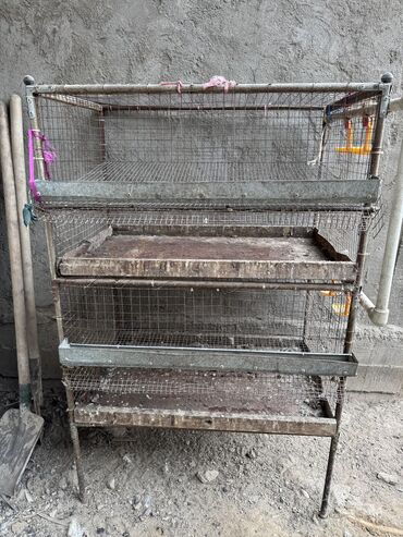 Товары и оборудование для с/х животных: Продается клетка для перепел — 4