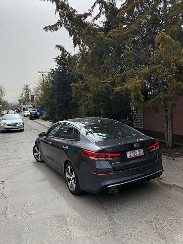k5 2011: Kia Optima: 2019 г., 2.4 л, Автомат, Бензин, Седан — 3