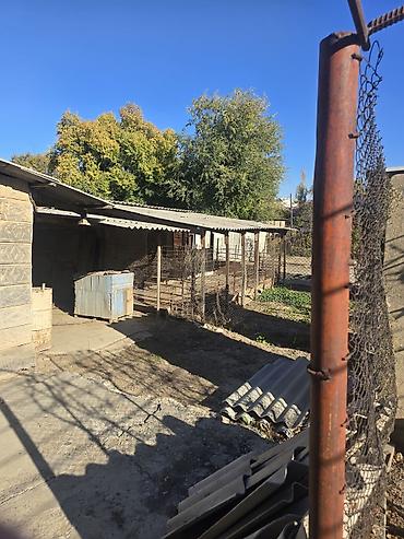 продаю дом село дмитриевка: 3 комнаты, 76 м², 9 соток, Сокулук, Собственник — 3