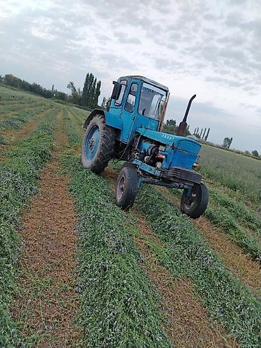 traktor bazar: MTZ tipli mavi rəngli təkərli traktor - Güclü dizel mühərriki, ön — 5