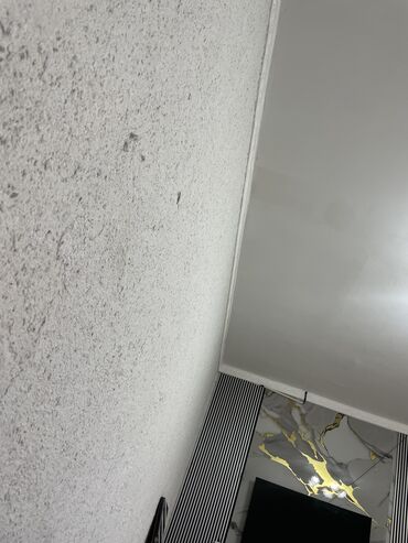 Уюлдук телефондор жана аксессуарлар: IPhone 12 Pro, Колдонулган, 256 ГБ, Black Titanium, Заряддоочу түзүлүш, Коргоочу айнек, Каптама, 77 %