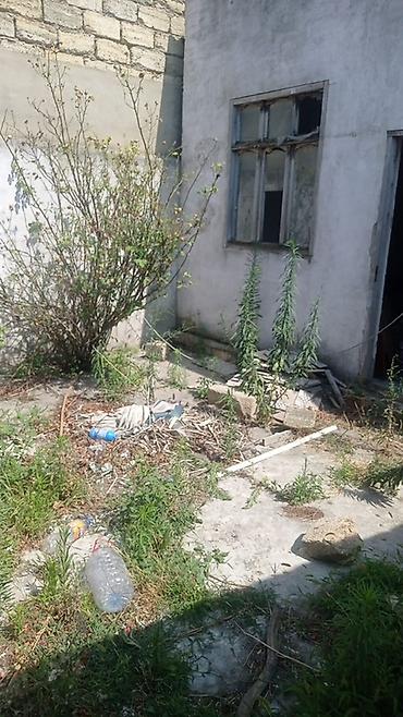 lenkeranda satisda olan evler: 1 otaqlı, 25 kv. m, Kredit yoxdur, Təmirsiz — 3
