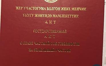совхоз ала тоо 1990 годы: 4 соток, Красная книга, Договор купли-продажи — 1