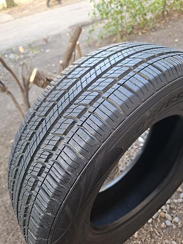 Отличное состояние почти новые. комплект- 15-205-65. 13000 сом at lalafo.kg Отличное состояние почти новые. комплект- 15-205-65. 13000 сом