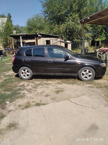 нур мото: Nissan Almera: 2003 г., Механика, Бензин, Хэтчбэк — 1