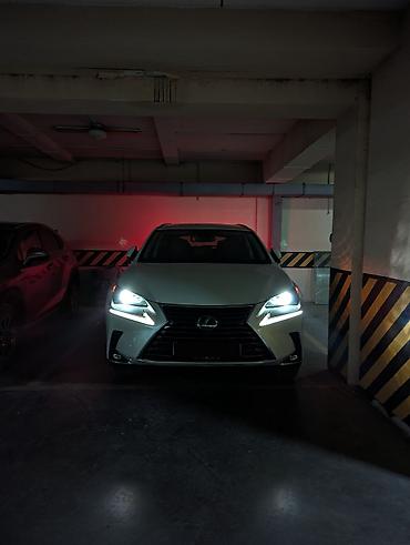 лехус нх 300: Lexus NX: 2019 г., 2 л, Автомат, Бензин, Кроссовер — 5
