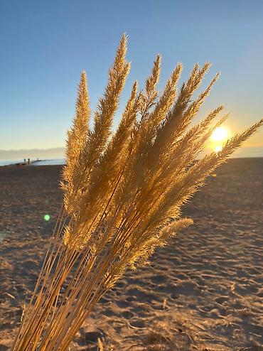 Иссык-Куль 2026: Квартира, Уютная квартира для семейного отдыха ЦО Кыргызское взморье, Бостери, Детская площадка, Парковка, стоянка, Охраняемая территория — 19