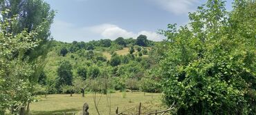 Torpaq sahələrinin satışı: 12 sot, Mülkiyyətçi, Kupça (Çıxarış) — 3