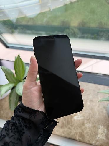 ucar iphone: IPhone 12 Pro Max, 256 GB, Pacific Blue — 1