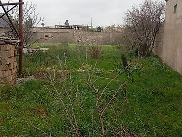 sultan emlak: Bakı, Binə, 1400 kv. m, 4 otaqlı, Hovuzlu, Qaz, İşıq, Artezian quyusu — 4