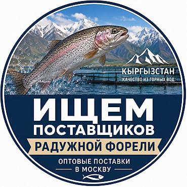 рыбный: Ищем рыбоводческие хозяйства и производителей радужной форели. Для — 1