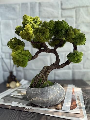 Другой декор и предметы интерьера: В переводе с японского Бонсай означает «дерево, выращенное в блюде» — 48