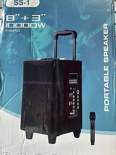 ace pro: Портативная акустическая система SS-1 с телескопической ручкой и — 4