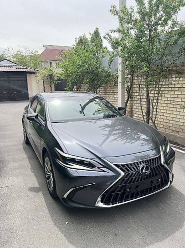 Lexus: Lexus ES: 2022 г., 2.5 л, Гибрид — 3