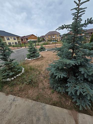 karagay resort: Гостиница на Иссык-Куле, TOURIST, Альбатрос, Бостери, 6 мест, Посуточно — 9