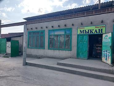 алматинской: 19 соток, Для бизнеса, Красная книга — 1