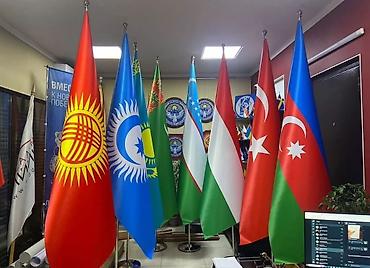 Бутылки: Бутылки — 7