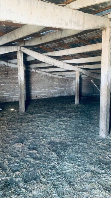 Сельхоз предприятия: Продаю Кошара, 41 соток, Действующий, Холодная вода, Электричество — 7