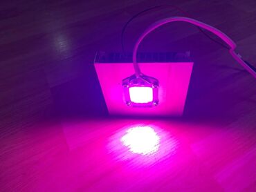 Baštenska rasveta: Led Reflektor Rast Biljki Led Grow Full Spectrum 50w 220v — 14