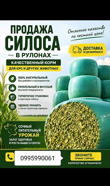 корм для животных: Силос в рулонах - Корм для КРС и других сельскохозяйственных животных — 3
