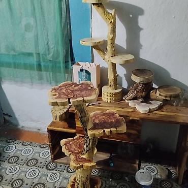 Полки, этажерки для цветов: Полка, этажерка для цветов, Дерево — 12