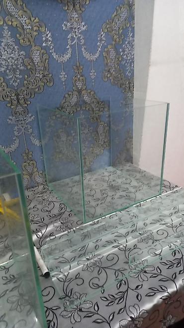 Akvariumlar: Şüşə akvarium və akril/şüşə bölmələr dəsti - Kvadrat formalı, şəffaf — 2
