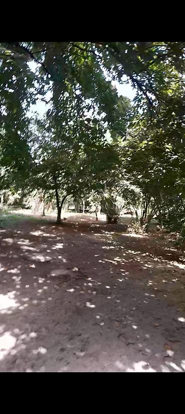 daşınmaz əmlakın satışı: 75 sot, Tikinti, Mülkiyyətçi, Kupça (Çıxarış) — 3