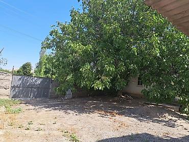 Продажа коттеджей и домов: Продаётся недостроенный дом с участком 12 соток в селе Сарбан (с — 5