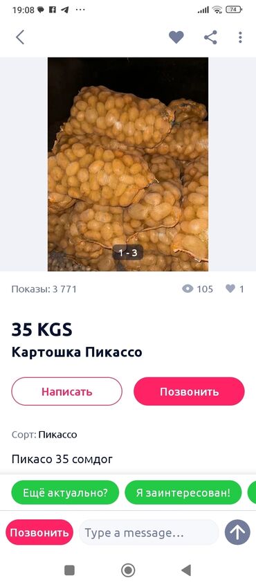 телевизоры оптом: Картошка