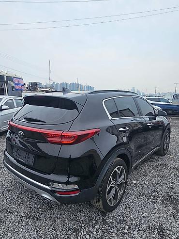 Kia: Kia Sportage: 2020 г., 2 л, Дизель — 3