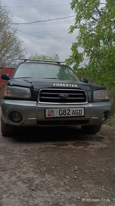 Subaru: Subaru Forester: 2003 г., 2 л, Автомат, Газ, Внедорожник