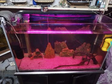 Akvariumlar: Akvaryum komplekti – şkaflı, sump filtrasiyalı - Şəffaf ön və yan — 7