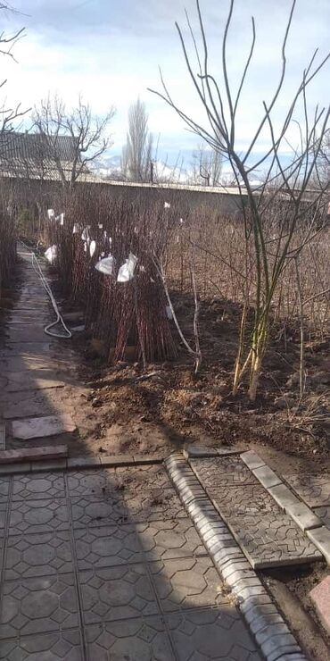 Грунт, чернозем: В тоннах, Самовывоз, Бесплатная доставка, Платная доставка, Зил — 9