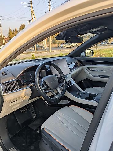 машина byd seagull: BYD Song Plus: 2024 г., Электромобиль, Кроссовер — 4