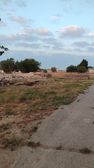 bakıda: 50 sot, Tikinti, Mülkiyyətçi, Texniki pasport, Kupça (Çıxarış) — 2
