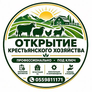 аккаунт бравл старс купить: Услуга: «Открытие крестьянского хозяйства» — профессионально, под — 1