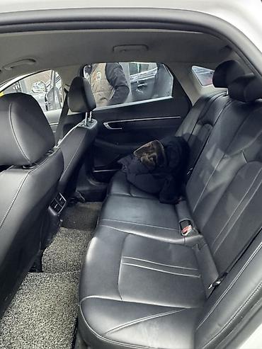 Hyundai: Hyundai Sonata: 2022 г., Седан — 6