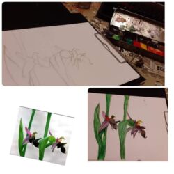 İncəsənət müəllimləri: İncəsənət müəllimi, Rəssamlıq, 5 ildən artıq təcrübə — 6