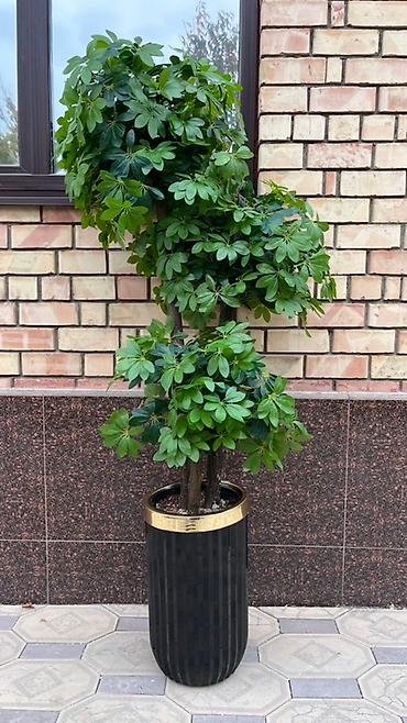 Декоративные цветы: 🌿 Мы — Mayram Decor KG, ваш надежный партнёр в создании эффектных и — 13